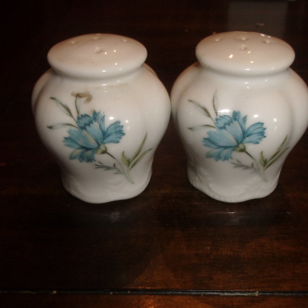 Salt pepper shakers set white blue flowers